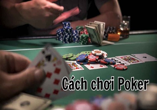 Cách chơi Poker cho người mới bắt đầu